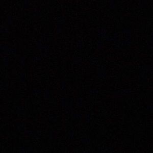 Meet your Posher, Dominick